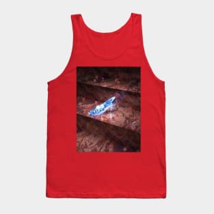 Cinderella's Little Glass Slipper Tank Top